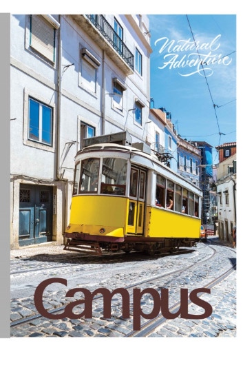 kiotviet_7222798161fc64d83568de865d507e03