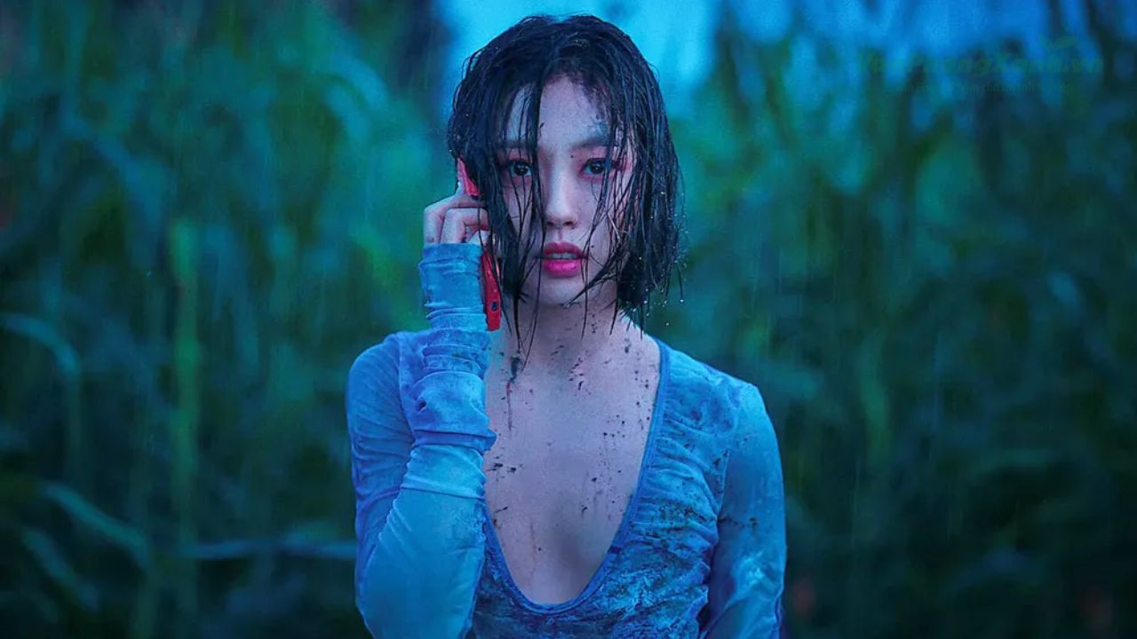 The Frog – Rừng Không Tiếng