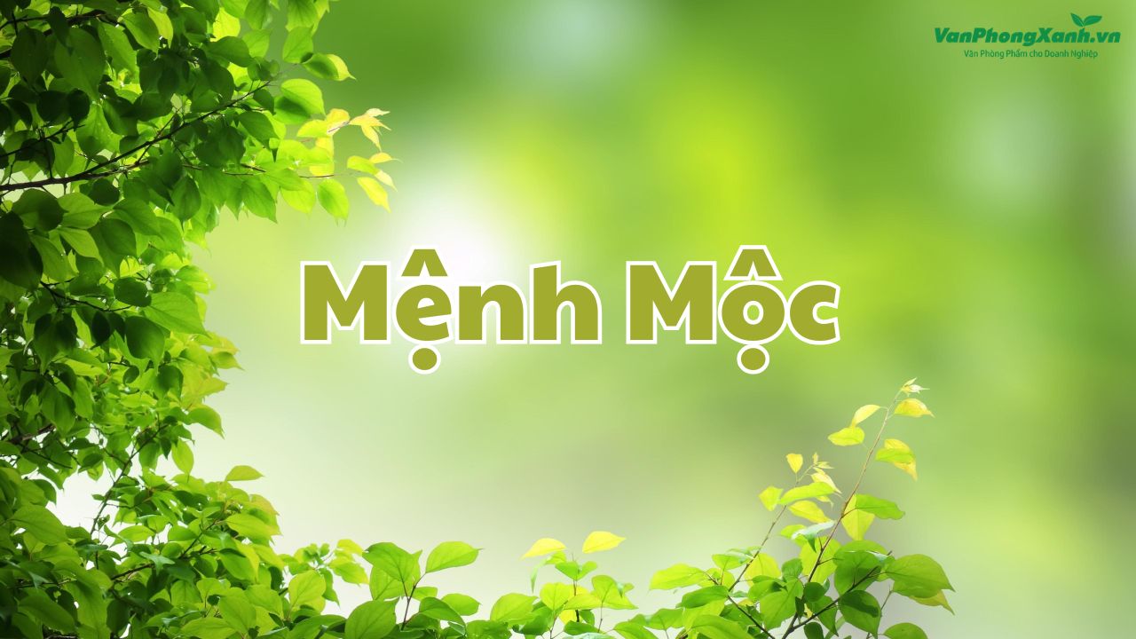 Quy luật tương sinh – tương khắc của mệnh Mộc