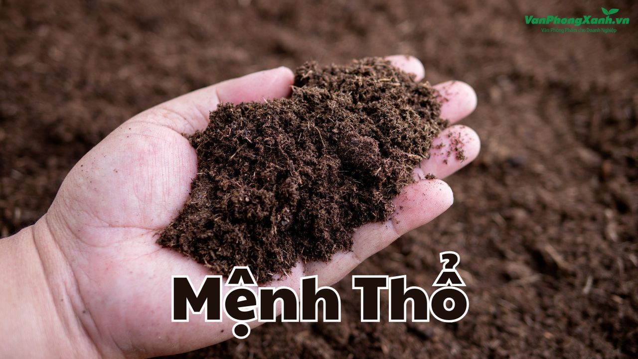 Mệnh Thổ hợp gì để giàu nhanh? Câu trả lời khiến nhiều người bất ngờ Mệnh Thổ hợp gì để giàu nhanh? Câu trả lời khiến nhiều người bất ngờ