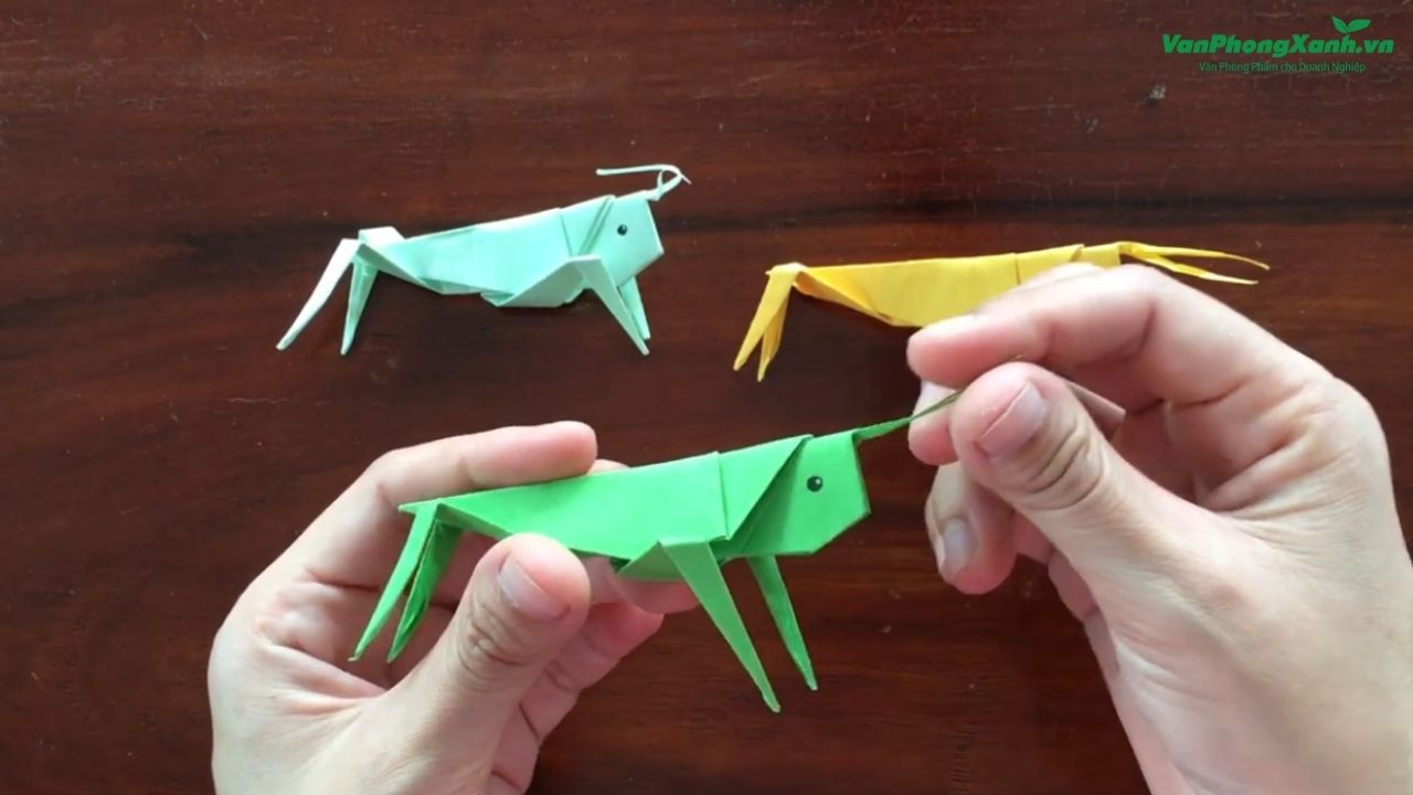 Cách Gấp Con Cào Cào Origami – Mẫu Gấp Đơn Giản Nhưng Đầy Thú Vị Cách Gấp Con Cào Cào Origami – Mẫu Gấp Đơn Giản Nhưng Đầy Thú Vị
