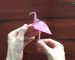 cach-gap-con-hong-hac-origami-1