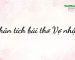 phan-tich-bai-tho-vo-nhat-2
